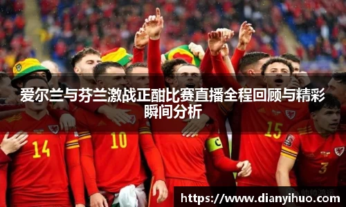 爱尔兰与芬兰激战正酣比赛直播全程回顾与精彩瞬间分析